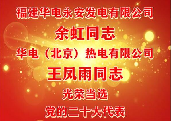 中國華電余虹、王鳳雨同志當(dāng)選黨的二十大代表