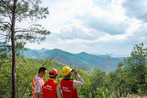 政企聯(lián)動防山火 守護大電網安全