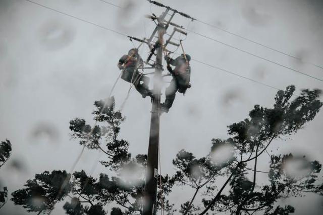 臺(tái)風(fēng)“梅花”過后 浙江電力供應(yīng)已全部恢復(fù)