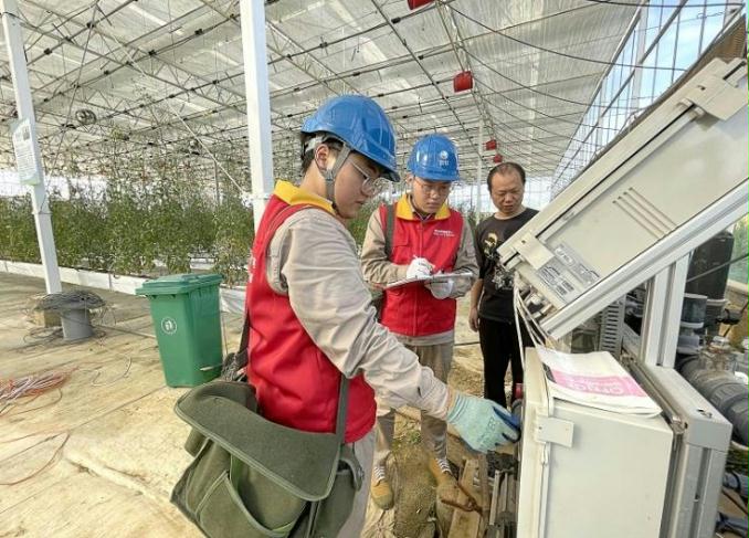 國網建甌市供電公司供電服務“零距離” 護航秋收好“豐”景