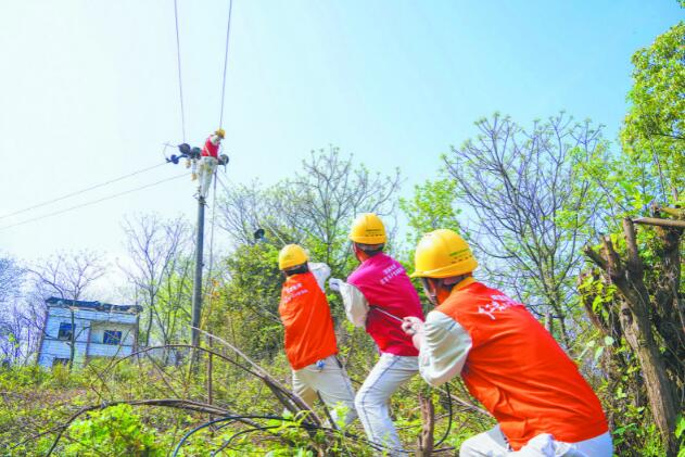 國網(wǎng)重慶電力公司報裝接電線上辦 快捷省力又省錢