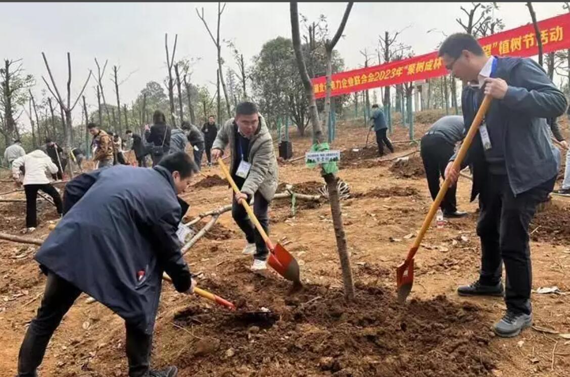 湖北省電力企業(yè)聯(lián)合會(huì)舉辦“聚樹成林·聚合希望”植樹活動(dòng)